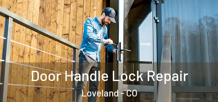 Door Handle Lock Repair Loveland - CO