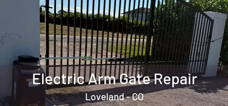 Electric Arm Gate Repair Loveland - CO