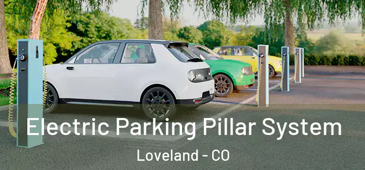 Electric Parking Pillar System Loveland - CO
