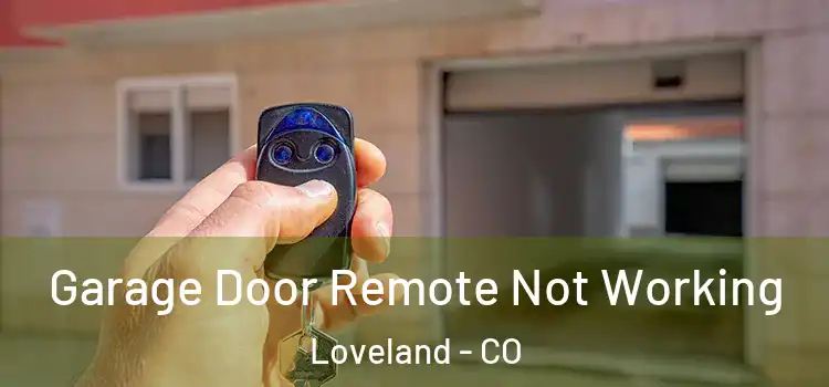  Garage Door Remote Not Working Loveland - CO