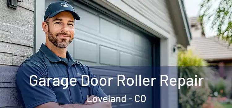  Garage Door Roller Repair Loveland - CO