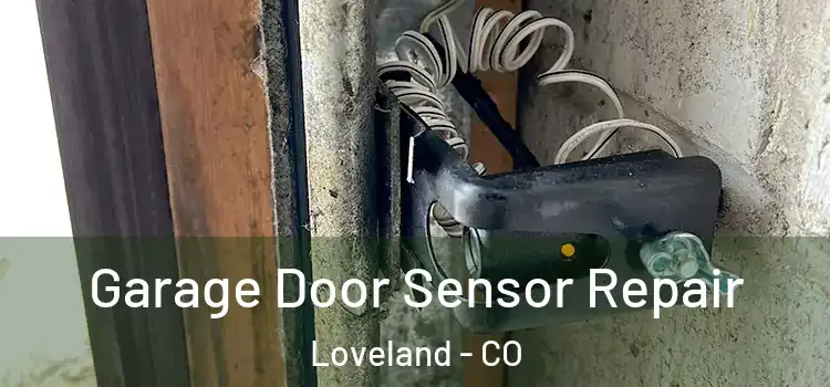 Garage Door Sensor Repair Loveland - CO