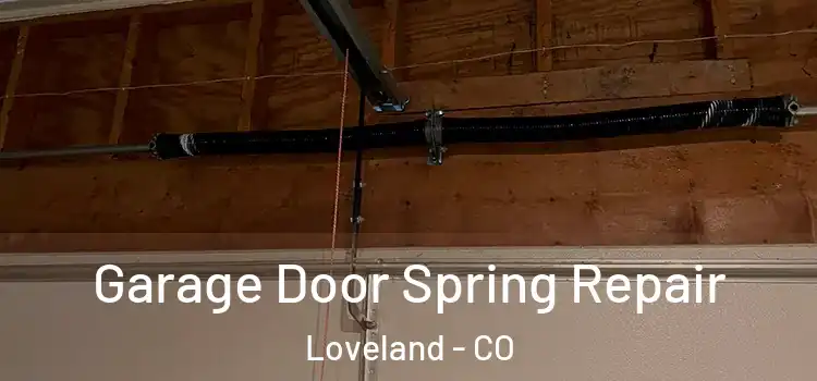  Garage Door Spring Repair Loveland - CO