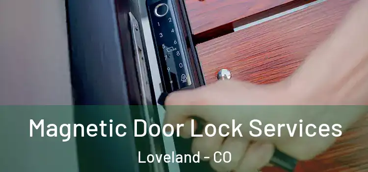 Magnetic Door Lock Services Loveland - CO