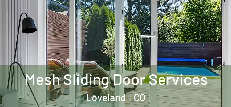 Mesh Sliding Door Services Loveland - CO