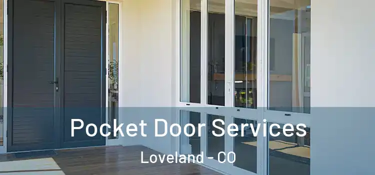 Pocket Door Services Loveland - CO