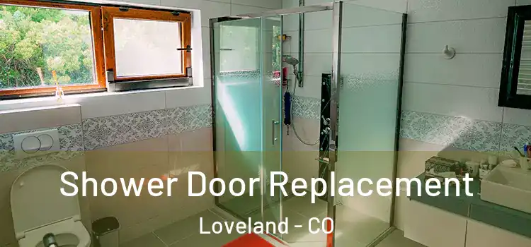 Shower Door Replacement Loveland - CO
