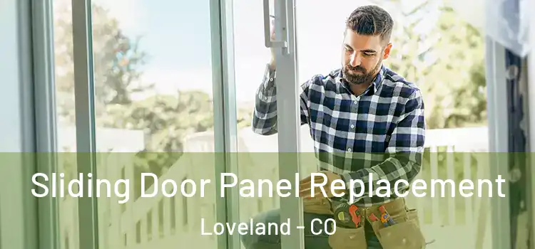  Sliding Door Panel Replacement Loveland - CO