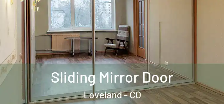  Sliding Mirror Door Loveland - CO