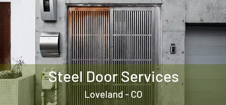 Steel Door Services Loveland - CO